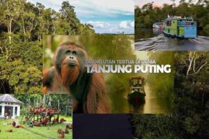 Taman Nasional Tanjung Puting