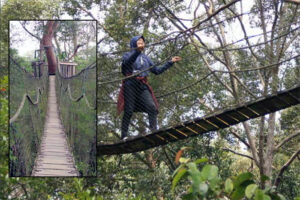 Jembatan Gantung Bukit Bangkirai