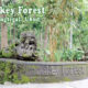 Sacred Monkey Forest Sanctuary, Ubud