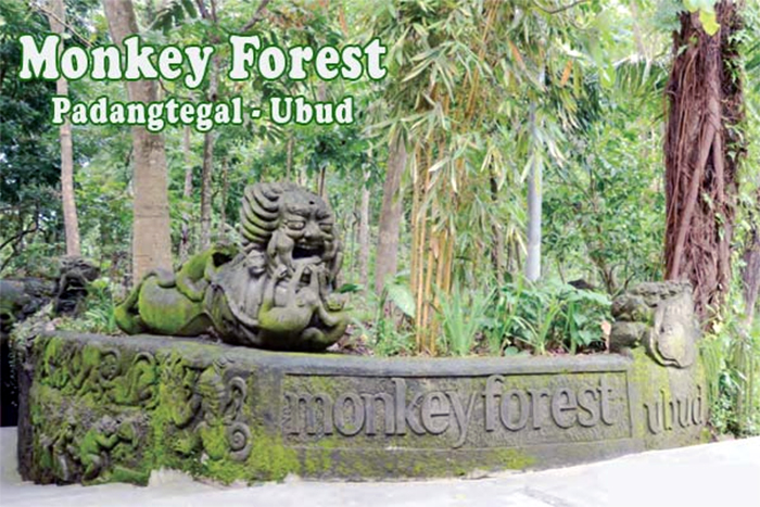 Sacred Monkey Forest Sanctuary, Ubud