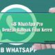 GB WhatsApp Pro