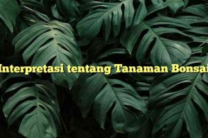 Interpretasi tentang Tanaman Bonsai