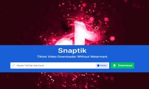 snaptik