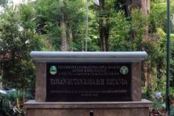 taman hutan raya ir h djuanda