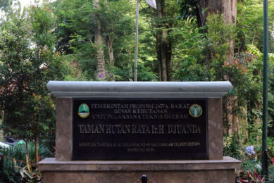 taman hutan raya ir h djuanda
