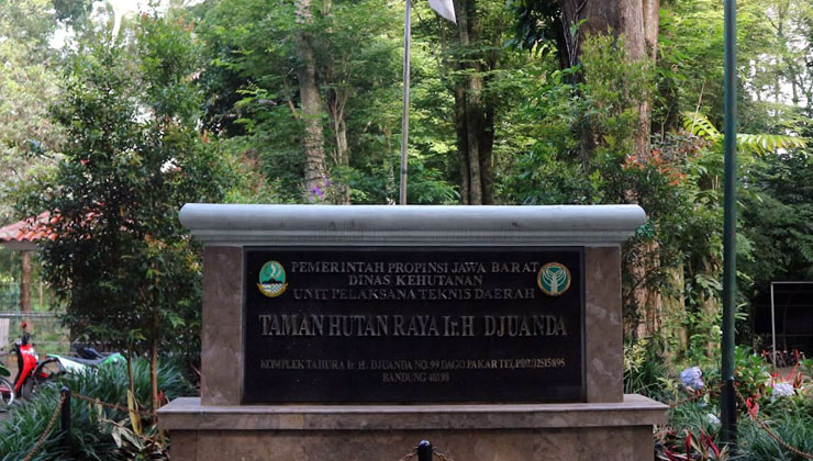 taman hutan raya ir h djuanda