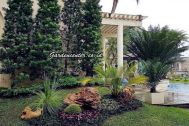 jasa tukang taman profesional