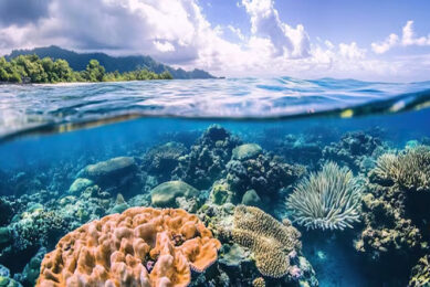 Great Barrier Reef Australia