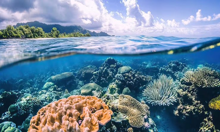 Great Barrier Reef Australia